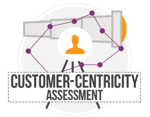 Customer Centricity customer centricity assesment to raise cx