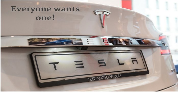 Tesla: Intriguing Insight To Success