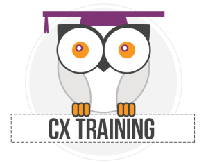 management consulting business management training