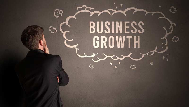 Business Growth Consultants